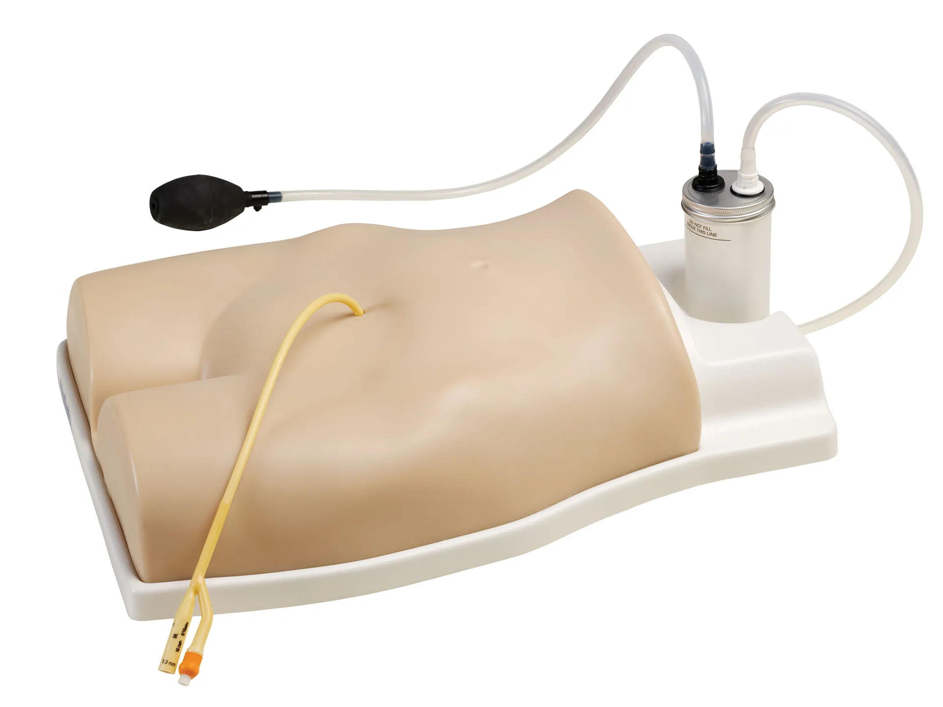 Suprapubic Trainer (AR341)