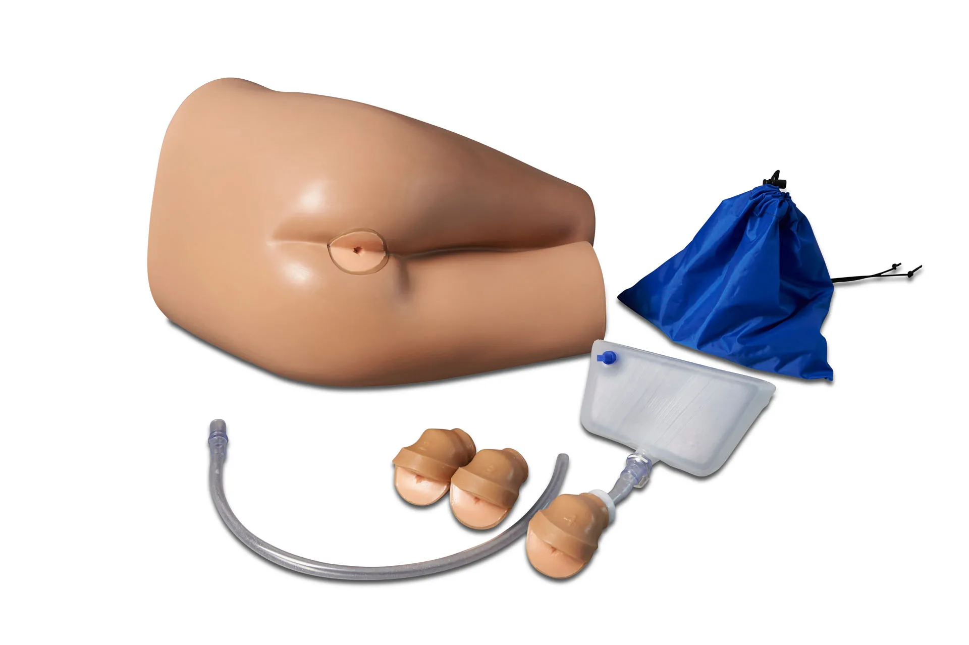 Rectal Exam Model (AR421)