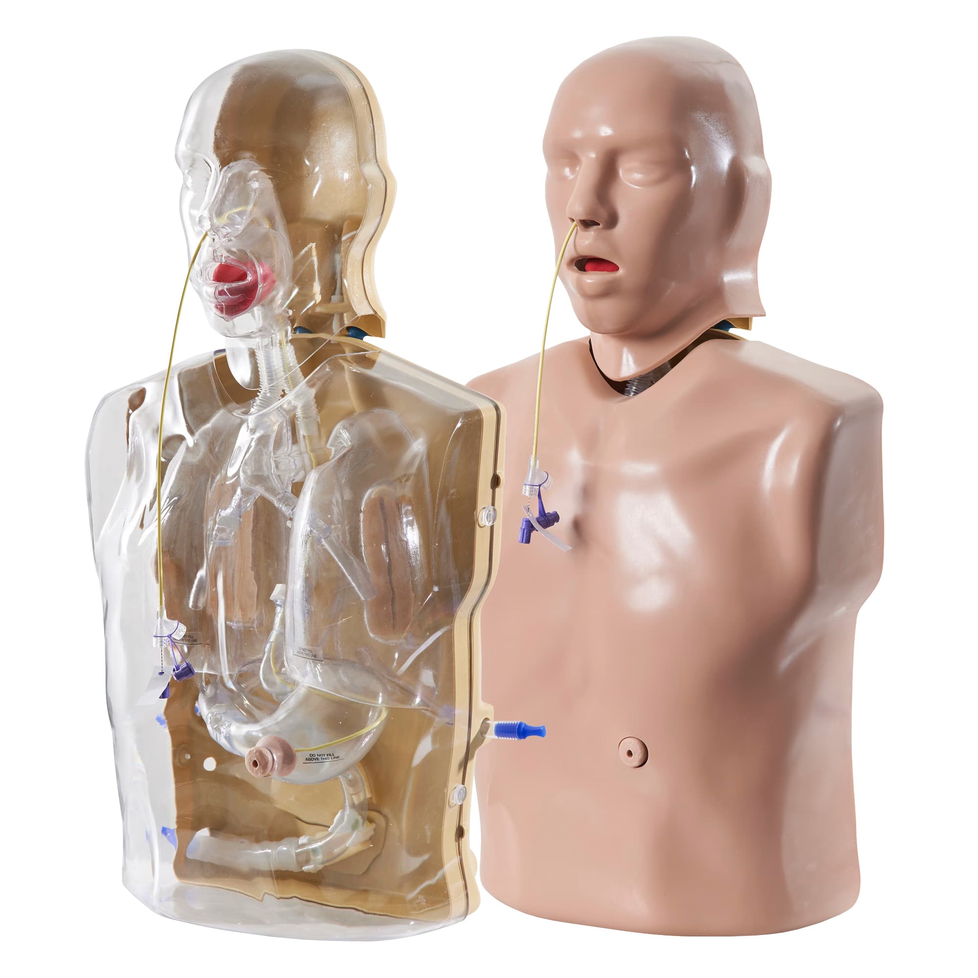 Nasogastric Trainer (AR90)