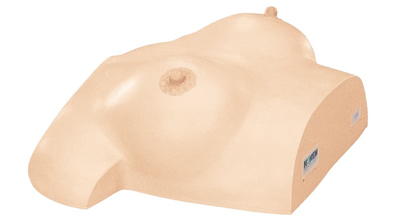 Breast Massage (LM-024)