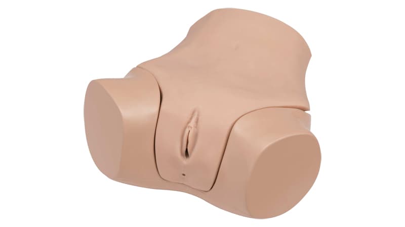 Gyn Exam Sim (LM-110)